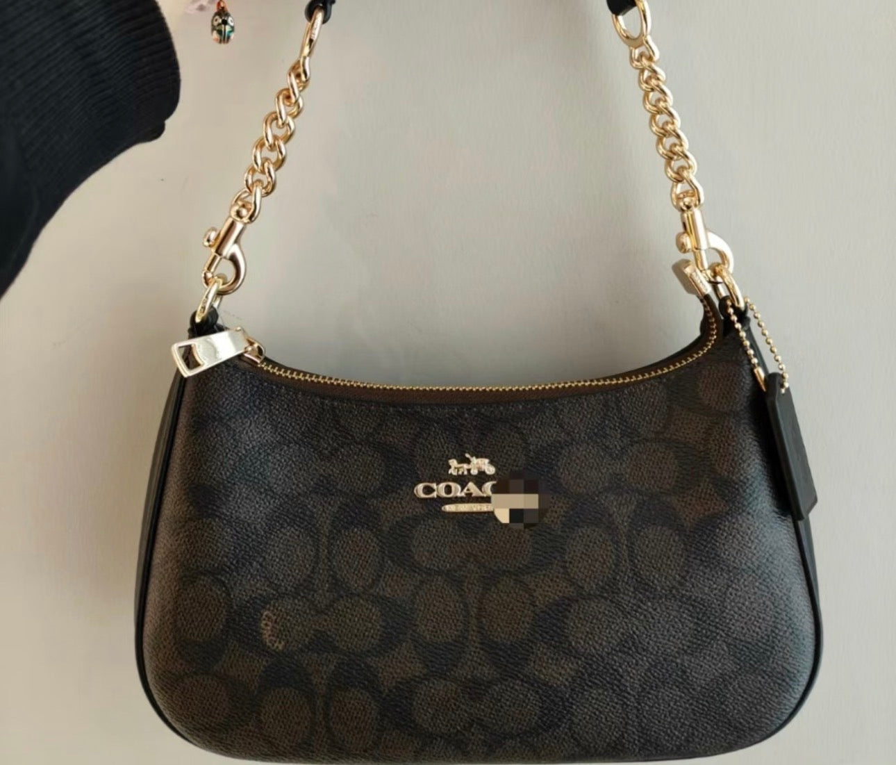 Brown Terri Bag